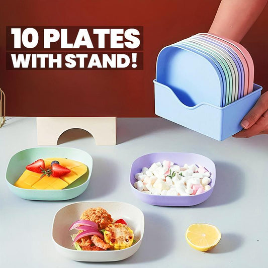10 Pcs Multi-function Spit Bone Plate Set